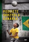 Podcięte skrzydła kanarka. Blaski i cienie brazylijskiego futbolu - zdjęcie