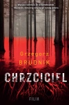 Chrzciciel - zdjęcie