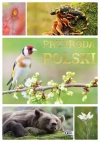 Przyroda Polski - zdjęcie