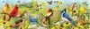 Puzzle 1000 Ptaki w ogrodzie, Panorama - zdjęcie
