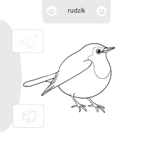 Malowanie-doklejanie. Ptaki, zdjęcie 2