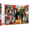 Puzzle 1000 elementów. Kocie spotkanie - zdjęcie