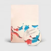 5sos5, CD, zdjęcie 2