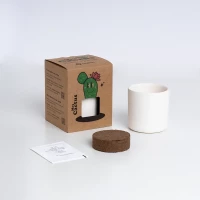 Roślinka Mrs Cactus Resetea, zdjęcie 2