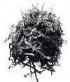 Raffia dekoracyjna papierowa 20g - zdjęcie