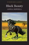 Black Beauty - zdjęcie