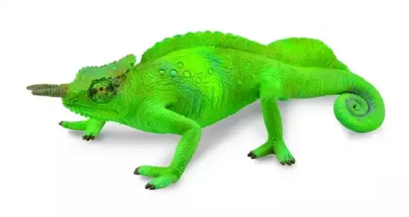 Kameleon górski L Kameleon górski L
