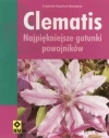 Clematis. Najpiekniejsze gatunki powojników - zdjęcie