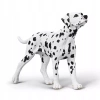 CollectA 80040 - Dalmatyńczyk - zdjęcie