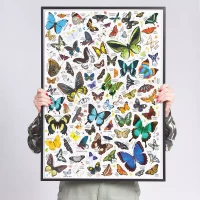 Puzzlove CzuCzu 1000 elementów. Motyle, zdjęcie 2