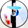 Biffy Clyro: A Celebration Of Endings (Picture) (Picture). Winyl - zdjęcie