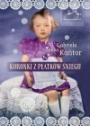 Koronki z płatków śniegu - zdjęcie