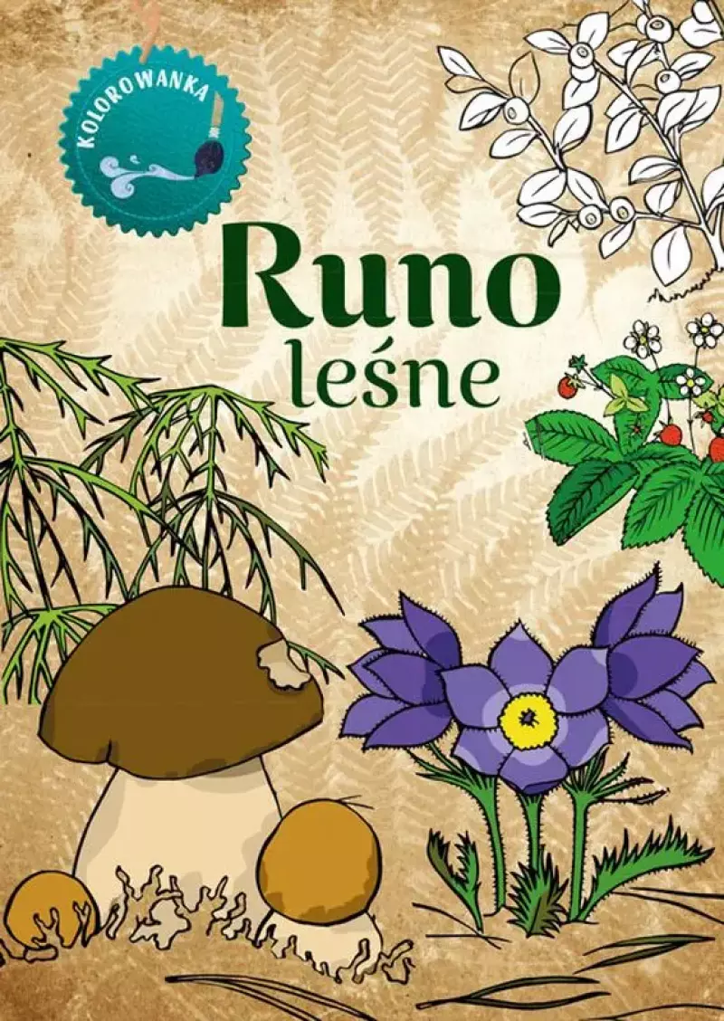 Runo leśne. Kolorowanka Runo leśne. Kolorowanka
