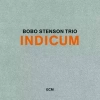 INDICUM. CD - zdjęcie