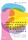 Socjoterapia wobec agresji rówieśniczej w polskiej szkole. Perspektywa praktyków - zdjęcie
