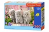 Puzzle 260 elementów. Three Grey Kittens - zdjęcie