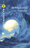 Helliconia wer. angielska - zdjęcie