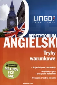 Angielski repetytorium. Tryby warunkowe, zdjęcie 3