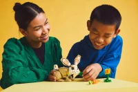 LEGO Creator 3 w 1 31162, zdjęcie 9