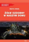 Żółw ozdobny w naszym domu - zdjęcie