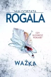 Ważka - zdjęcie