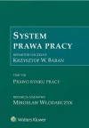 System Prawa Pracy Tom 7 Prawo rynku pracy - zdjęcie