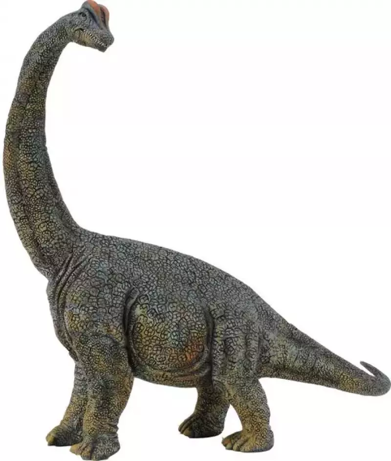 Dinozaur Brachiosaurus Deluxe 1:40 Dinozaur Brachiosaurus Deluxe 1:40