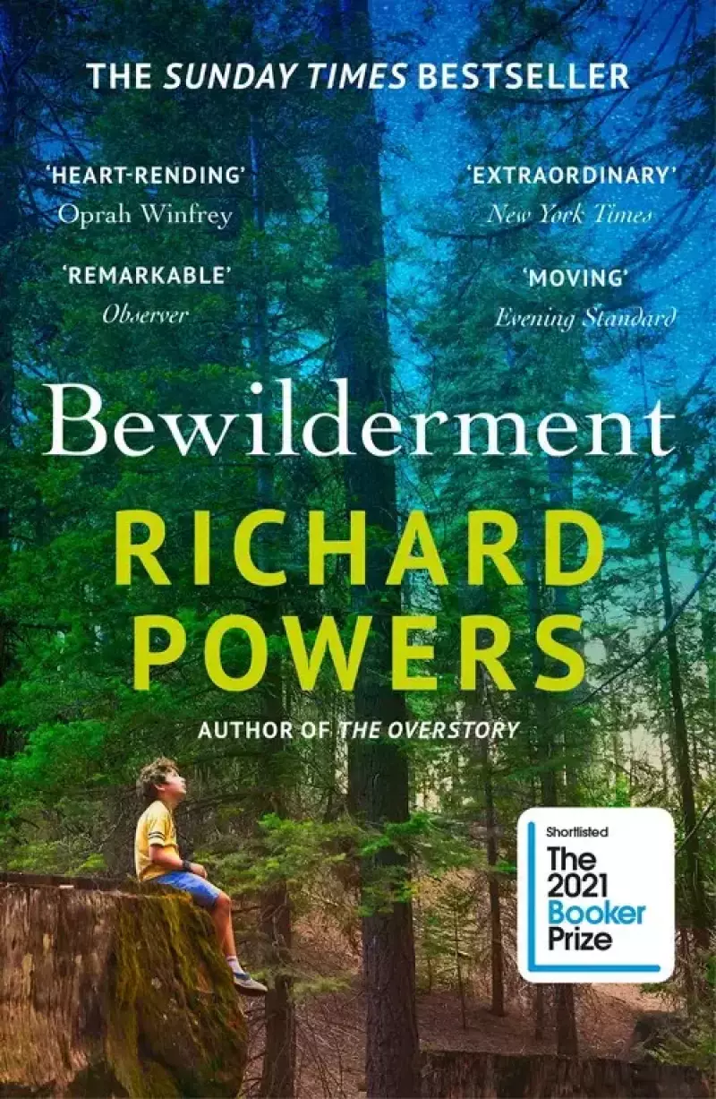 Bewilderment Bewilderment