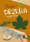 Drzewa naszych lasów. Zeszyt z kalką - zdjęcie