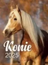Kalendarz 2025 wieloplanszowy B4 Konie - zdjęcie