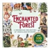 Książka z naklejkami 800szt - Enchanted Forest - zdjęcie