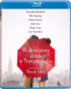 W deszczowy dzień w Nowym Jorku, Blu-ray - zdjęcie