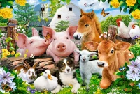 Puzzle maxi 40 elementów. Farm Friends, zdjęcie 2