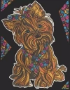 Kolorowanka Welwetowa Colorvelvet A4 Yorkshire Terrier - zdjęcie
