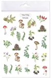 Tatuaże zmywalne Leśne botaniczne - zdjęcie