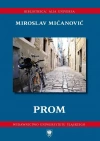 Prom - zdjęcie