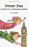 Peter Pan and Peter Pan in Kensington Gardens - zdjęcie