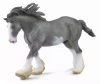 OgierClydesdale maści czarnej XL - zdjęcie