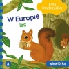 W Europie. Las. Wiewiórka - zdjęcie