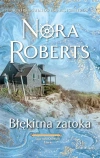 Saga rodu Quinnów. Tom 4. Błękitna zatoka - zdjęcie