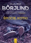 Śpijcie, kotki - zdjęcie