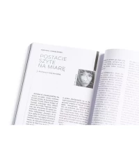 Notatnik Teatralny. Nr 98-99/2025 Teatr: Wizualność, zdjęcie 13
