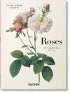 Roses - zdjęcie