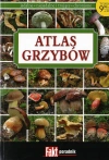 Atlas Grzybów - Praca zbiorowa - zdjęcie