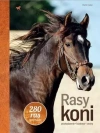 Rasy koni - zdjęcie