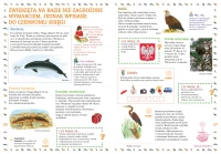 Zwierzęta chronione, zdjęcie 4