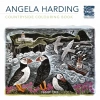 Countryside (Angela Harding) Colouring Book - zdjęcie