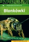 Błonkówki - zdjęcie