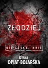 Złodziej. Nie szukaj mnie. Tom 1 - zdjęcie