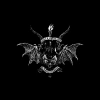 The Spearwound Salvation. CD - zdjęcie